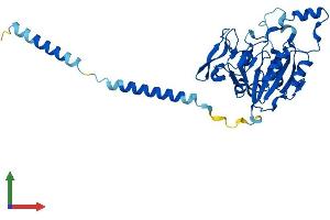 AlphaFold protein structure predicition of Human Recombinant B3GAT3 Protein, UniprotID O94766