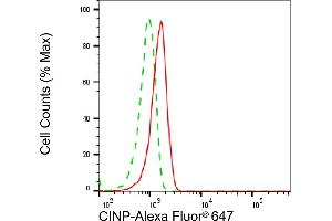 Flow cytometric analysis of CINP expression in HepG2 cells using CINP antibody (ABIN7798087), 1:2,000). (CINP anticorps)