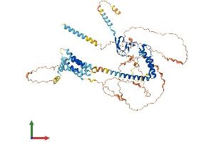 AlphaFold protein structure predicition of Human Recombinant TMEM201 Protein, UniprotID Q5SNT2