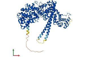 AlphaFold protein structure predicition of Human Recombinant NCBP1 Protein, UniprotID Q09161