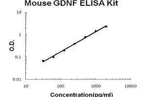 Mouse GDNF Accusignal ELISA Kit Mouse GDNF AccuSignal ELISA Kit standard curve. (GDNF Kit ELISA)