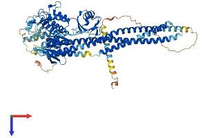 AlphaFold protein structure predicition of Human Recombinant CHUK Protein, UniprotID O15111