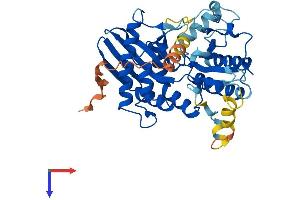 AlphaFold protein structure predicition of Human Recombinant PIP5KL1 Protein, UniprotID Q5T9C9