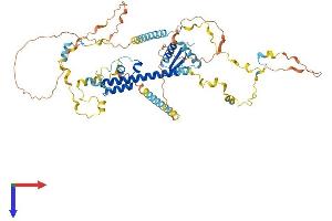 AlphaFold protein structure predicition of Mouse Recombinant Rec8 Protein, UniprotID Q8C5S7