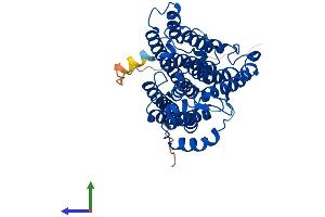 AlphaFold protein structure predicition of Human Recombinant CEPT1 Protein, UniprotID Q9Y6K0