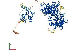 AlphaFold protein structure predicition of Human Recombinant POLM Protein, UniprotID Q9NP87