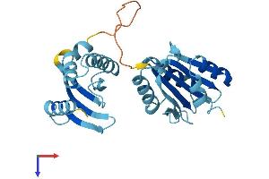 AlphaFold protein structure predicition of Human Recombinant RWDD3 Protein, UniprotID Q9Y3V2