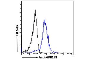 (ABIN570867) Flow cytometric analysis of paraformaldehyde fixed A431 cells (blue line), permeabilized with 0.