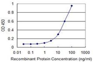Detection limit for recombinant GST tagged NIT1 is 1 ng/ml as a capture antibody. (Nitrilase 1 anticorps  (AA 228-327))