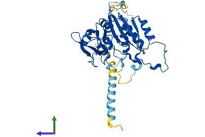 AlphaFold protein structure predicition of Human Recombinant B3GAT1 Protein, UniprotID Q9P2W7