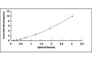 Typical standard curve (FCN1 Kit ELISA)