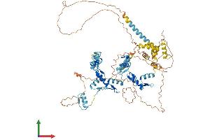 AlphaFold protein structure predicition of Mouse Recombinant Gzf1 Protein, UniprotID Q4VBD9