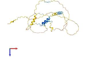AlphaFold protein structure predicition of Mouse Recombinant Ermn Protein, UniprotID Q5EBJ4