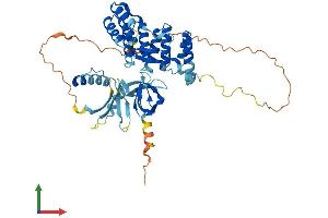 AlphaFold protein structure predicition of Mouse Recombinant Noxa1 Protein, UniprotID Q8CJ00