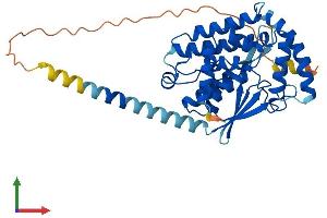 AlphaFold protein structure predicition of Human Recombinant PTGES2 Protein, UniprotID Q9H7Z7