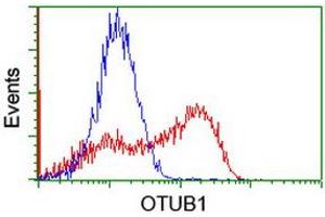 Image no. 1 for anti-OTU Domain, Ubiquitin Aldehyde Binding 1 (OTUB1) antibody (ABIN1499931)