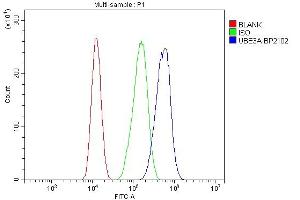 Flow Cytometry analysis of CACO-2 cells using anti-UBE3A antibody (ABIN7599562). (ube3a anticorps  (AA 1-860))