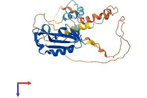 AlphaFold protein structure predicition of Mouse Recombinant Isg20 Protein, UniprotID Q9JL16