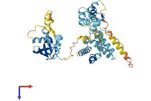 AlphaFold protein structure predicition of Human Recombinant UBAC1 Protein, UniprotID Q9BSL1
