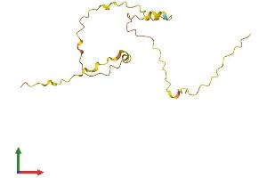 AlphaFold protein structure predicition of Human Recombinant BRWD1-AS2 Protein, UniprotID P59051 (BRWD1-AS2 Protein (AA 1-145) (His tag))