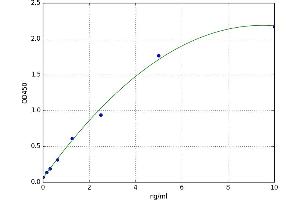 Arachidonate 15-Lipoxygenase (ALOX15) ELISA Kit