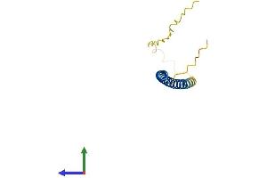 AlphaFold protein structure predicition of Mouse Recombinant Scoc Protein, UniprotID Q78YZ6