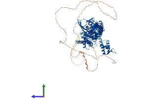 AlphaFold protein structure predicition of Mouse Recombinant Cul4b Protein, UniprotID A2A432