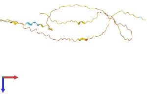 AlphaFold protein structure predicition of Human Recombinant C20orf203 Protein, UniprotID Q8NBC4