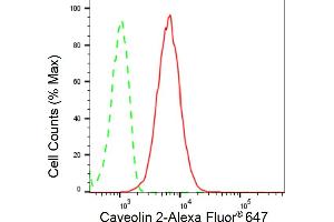 Flow cytometric analysis of Caveolin 2 expression in HepG2 cells using Caveolin 2 antibody (ABIN7797946), 1:2,000). (Recombinant Caveolin 2 anticorps)