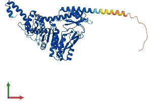 AlphaFold protein structure predicition of Mouse Recombinant Sepsecs Protein, UniprotID Q6P6M7
