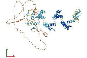 AlphaFold protein structure predicition of Human Recombinant ZNF10 Protein, UniprotID P21506
