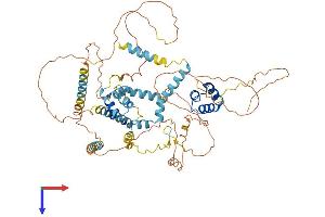 AlphaFold protein structure predicition of Mouse Recombinant Lcorl Protein, UniprotID Q3U285
