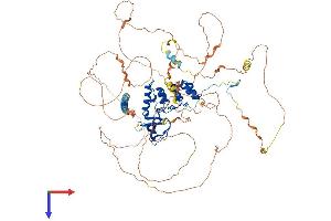 AlphaFold protein structure predicition of Human Recombinant PPP1R13L Protein, UniprotID Q8WUF5