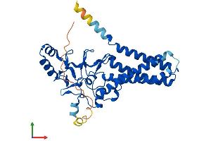AlphaFold protein structure predicition of Human Recombinant ZDHHC15 Protein, UniprotID Q96MV8