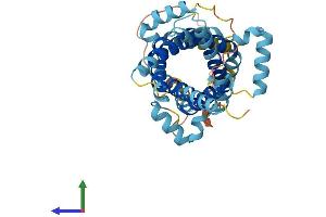 AlphaFold protein structure predicition of Mouse Recombinant Slc25a39 Protein, UniprotID Q9D8K8