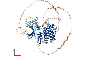 AlphaFold protein structure predicition of Human Recombinant STK35 Protein, UniprotID Q8TDR2