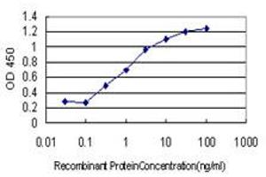 Detection limit for recombinant GST tagged FOXA1 is approximately 0.