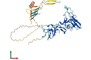 AlphaFold protein structure predicition of Human Recombinant ADAM5 Protein, UniprotID Q6NVV9