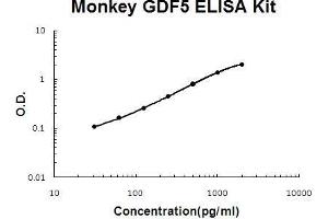Monkey Primate GDF5 PicoKine ELISA Kit standard curve (GDF5 Kit ELISA)