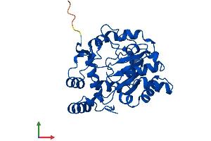 AlphaFold protein structure predicition of Human Recombinant SULT1A4 Protein, UniprotID P0DMN0
