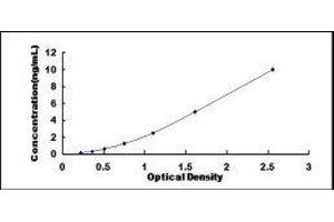 Tryptophan Hydroxylase 2 (TPH2) ELISA Kit