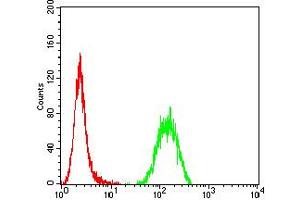 Flow cytometric analysis of Hela cells using P2RY14 mouse mAb (green) and negative control (red).