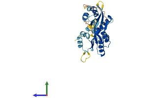 AlphaFold protein structure predicition of Human Recombinant RWDD2B Protein, UniprotID P57060