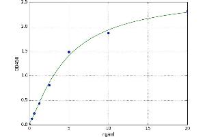 A typical standard curve