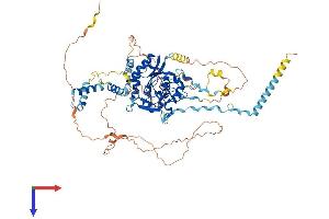 AlphaFold protein structure predicition of Mouse Recombinant Rsph6a Protein, UniprotID Q8CDR2