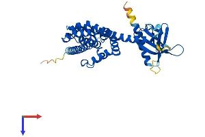 AlphaFold protein structure predicition of Mouse Recombinant Arhgef39 Protein, UniprotID Q66JY6