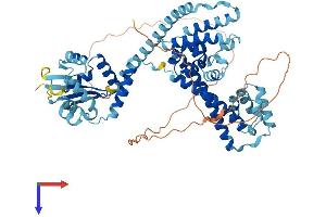 AlphaFold protein structure predicition of Human Recombinant NOP56 Protein, UniprotID O00567