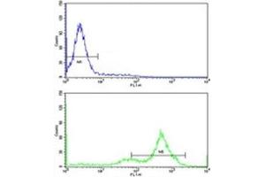 Flow cytometric analysis of K562 cells using GATA2 antibody (green) compared to a negative control (blue).