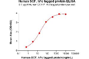 KIT Ligand (KITLG) (AA 26-214) protein (Fc Tag)