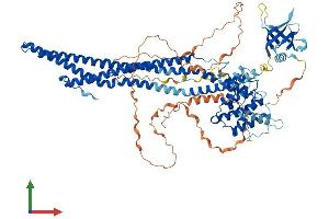 AlphaFold protein structure predicition of Human Recombinant OPHN1 Protein, UniprotID O60890